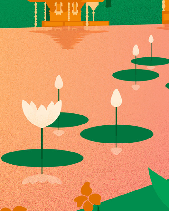 Bali travel illustration series - Night light detail lotus flowers