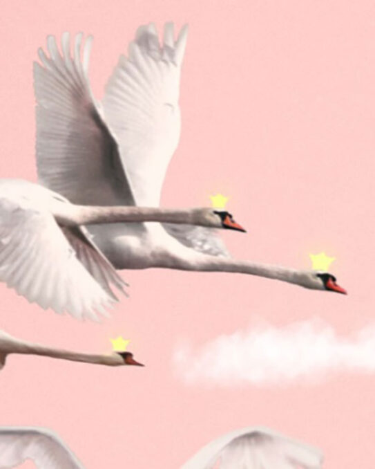 Detail The wild swans - Digital collage depicting three swan princes, wearing crowns, flying in the sky