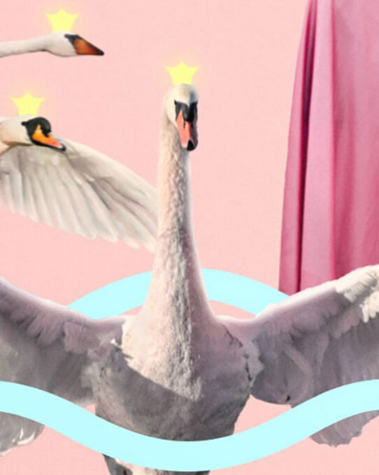 Detail The wild swans - Digital collage depicting a swan prince wearing a crown