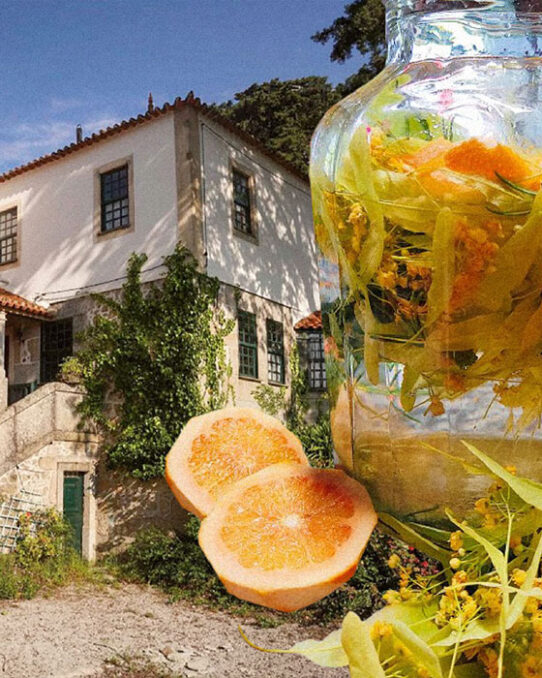 Lugar da Pedra Alta house and a lemon and linden tea made by the host