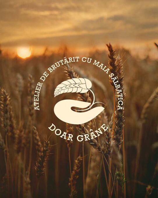 Primary logo Doar grâne (Only grains) bakery on top of a photo featuring a crops field