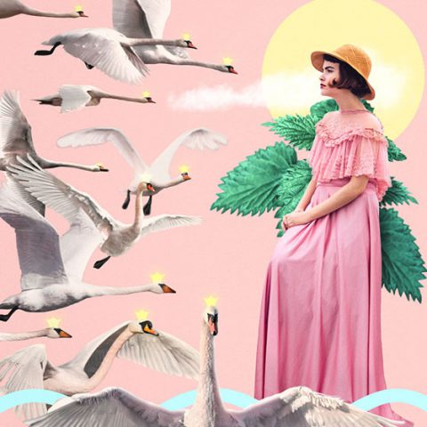 Editorial collage – The wild swans