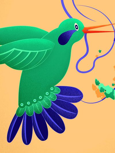 Detail vector illustration Environmental editorial illustration - Listen - depicting the bird