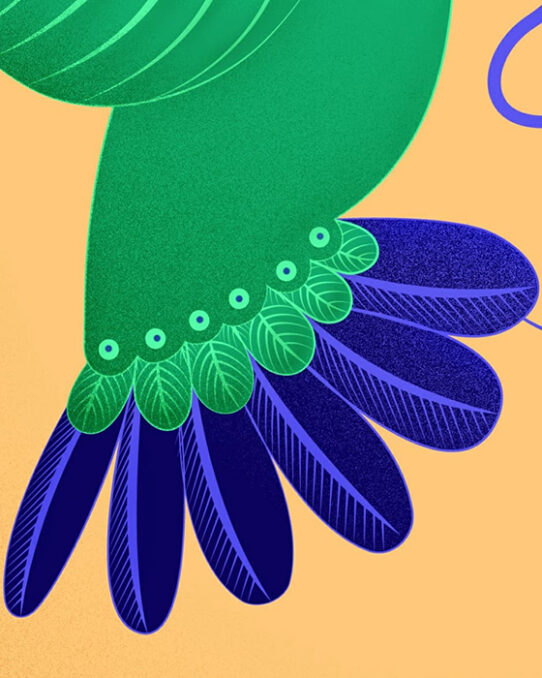Detail vector illustration Environmental editorial illustration - Listen - depicting the bird's tail