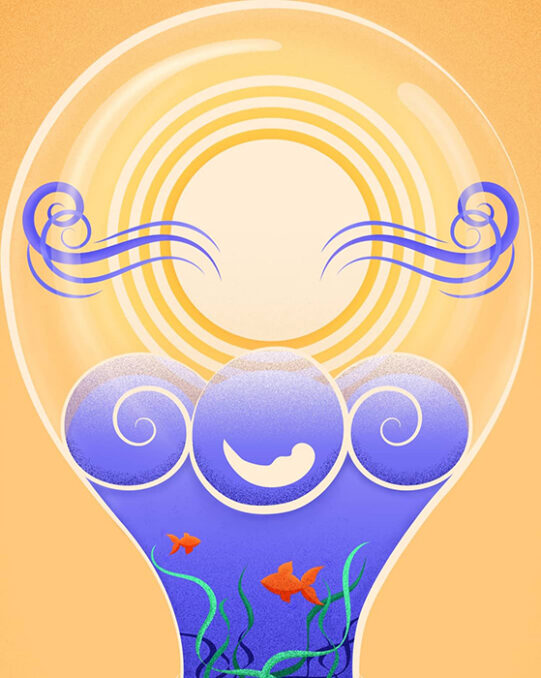 Inside a light bulb are depicted the Sun, the wind, the water with waves and marine life.