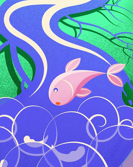 Detail vector Environmental editorial illustration - Preserve - depicting a fish jumping into the waves