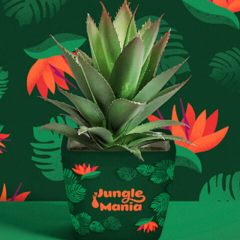 Plant shop visual identity & packaging design