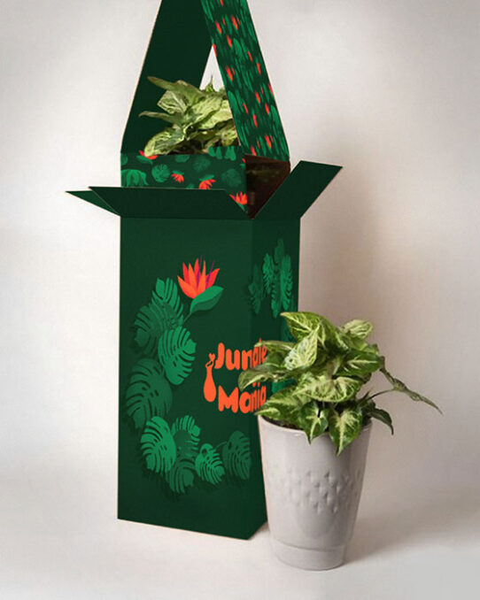 Tropical plant shop packaging design for tropical plant gift. The packaging depicts a tropical illustration, a tropical brand pattern and the flower shop's logotype - Jungle Mania. The tropical brand illustration and the brand pattern, include Monstera Deliciosa leaves and Bird of paradise flowers.