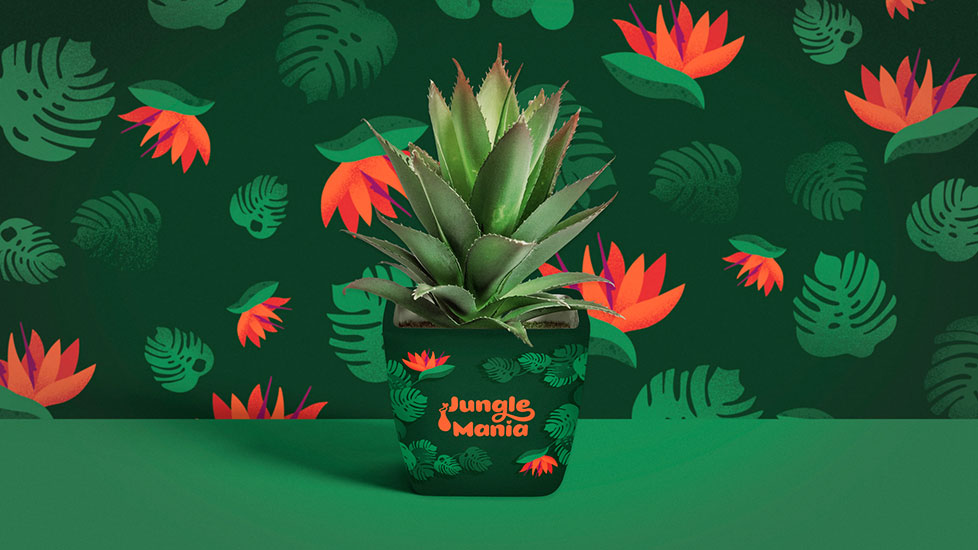 Tropical plant shop brand identity & packaging design social media post (mockup photo). In front, there is depicted an aloe vera plant pot on which there is represented a tropical illustration and the flower shop's logotype - Jungle Mania. On the background there is repeated the tropical brand illustration, representing Monstera Deliciosa leaves and Bird of paradise flowers.