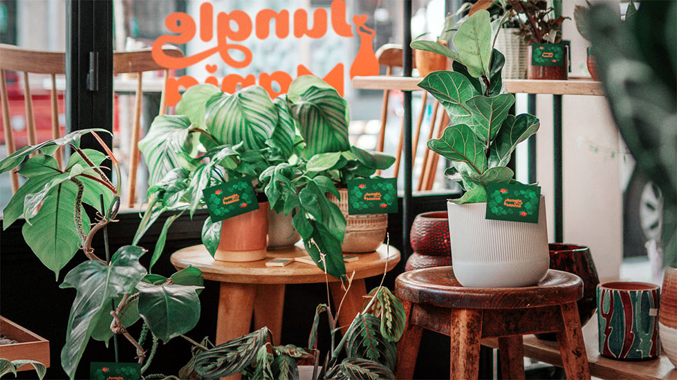 Tropical plant shop depicting a variety of tropical plants in pots holding illustrated cards depicting Monstera Deliciosa leaves, Bird of paradise flowers and the brand logotype. Behind the plants there is visible the brand logotype - Jungle Mania.