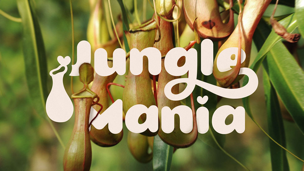 Tropical plant shop logotype Jungle Mania, depicted oversized between Tropical Pitcher plants.